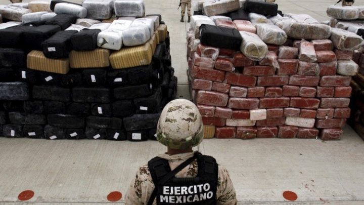 Identifican Siete Nuevos Cárteles Del Narcotráfico En México Notitotal 7768