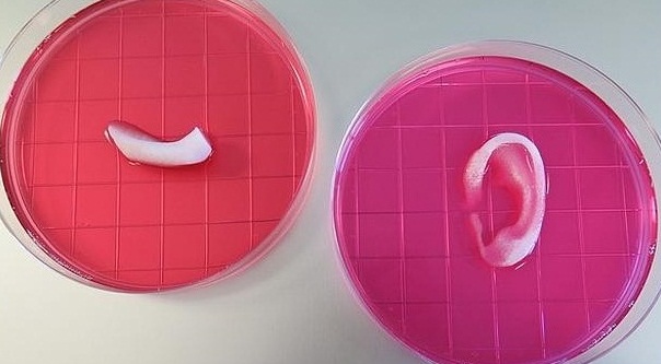 Desarrollan una impresora 3D capaz de fabricar una oreja que funciona