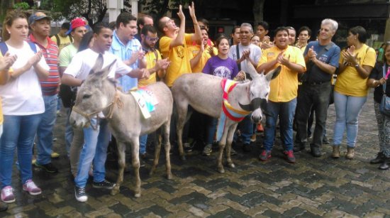 protesta-burro-sabana-grande