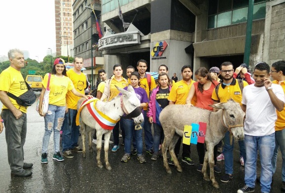 Protestan con burros frente al CNE en Caracas