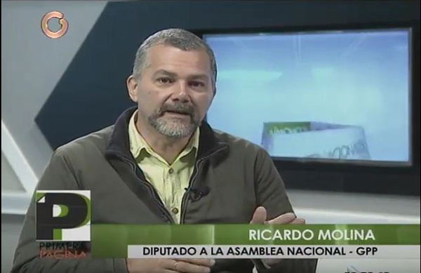Ricardo Molina, diputado del GPP | Foto: Captura de video