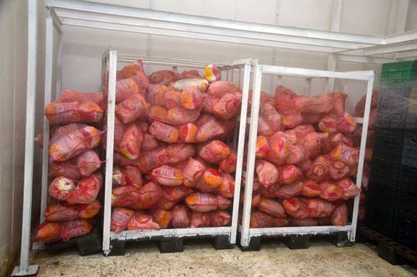 37 mil 781 kilos de pollo | Foto: Sundde