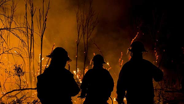 Incendios en Chile |Foto: Agencia Uno