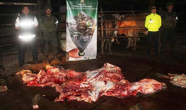 Desmantelado matadero en Cúcuta con ganado venezolano | Foto: El Nacional