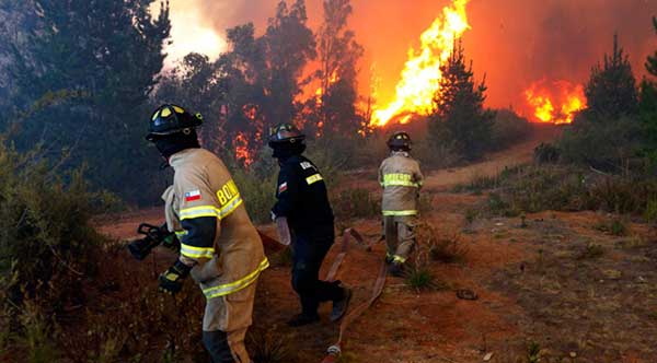 Cerca de 6.000 evacuados por incendio forestal en Valparaíso y Viña del Mar | Foto: 