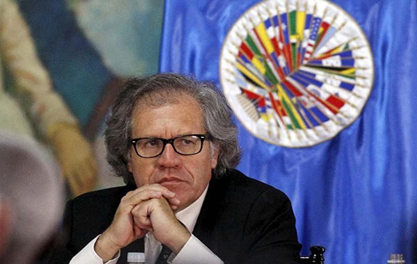 Luis Almagro, Secretario general de la OEA, aboga por la Carta Democrática | Foto cortesía