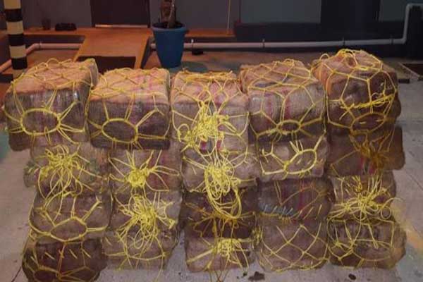 Detienen a venezolano con 600 kilos de cocaína en Puerto Rico | Foto: Diario Primera Hora