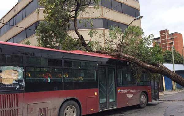Metrobús que trasladaba a oficialistas se estrelló contra un árbol en La Florida | Foto: Twitter