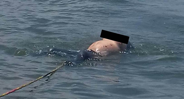 Cadaver de mujer decapitada hallado en el Lago de Maracaibo | Foto: Noticia al día