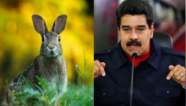 Nicolás Maduro anunció el plan conejo este martes |F Crédito: Colombia.com