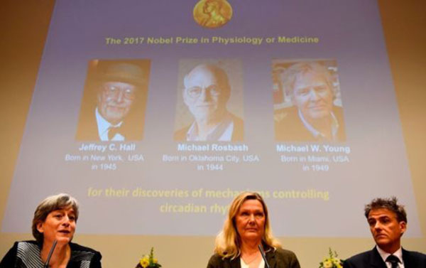 Los descubridores del reloj biológico del cuerpo humano ganan el Nobel de Medicina 2017 | Foto: AFP