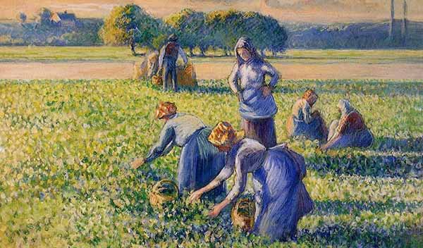 Cuadro de Camille Pissarro "La cosecha de guisantes" |  Imagen: Archivo