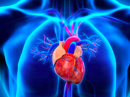 Conoce los 3 hábitos que provocan insuficiencia cardíaca sin que te des cuenta