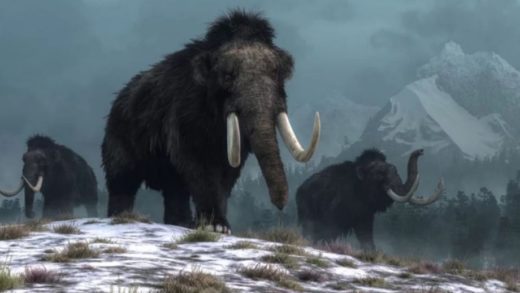 “Resucitar” al mamut lanudo, extinto hace 4 mil años